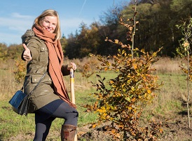 Plant een boom met jouw verhaal en creëer zo een bos vol mooie herinneringen.