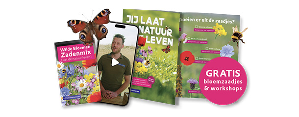 Ontvang gratis bloemzaadjes en volg online workshops met de boswachter.