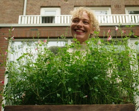 Ga aan de slag en geef met laatbloeiers de biodiversiteit een boost. 