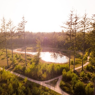 Bij Natuurbegraven Nederland kies je zelf een plek die bij jou past, midden in de natuur. 