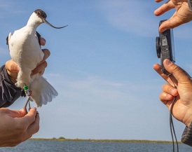 ‘Ik wilde de menselijkheid van het natuurverhaal in beeld brengen’